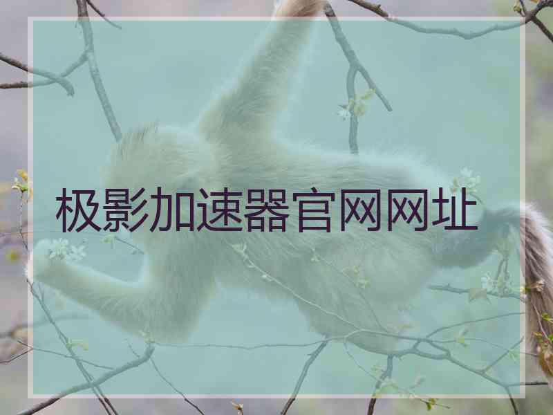 极影加速器官网网址