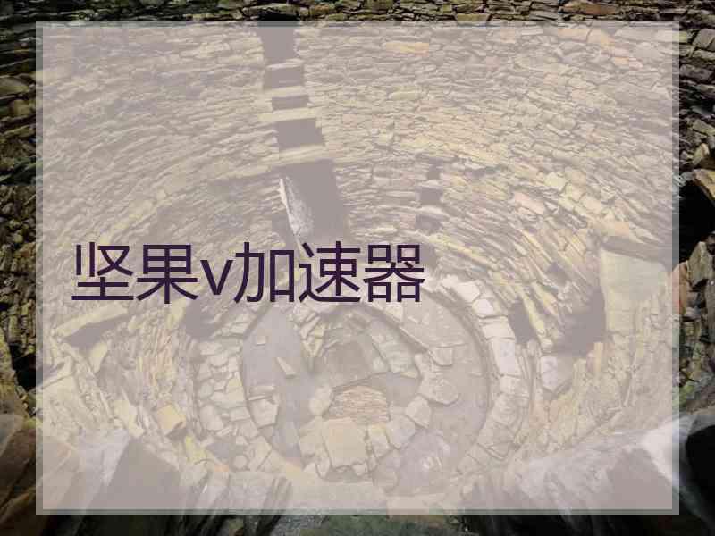 坚果v加速器