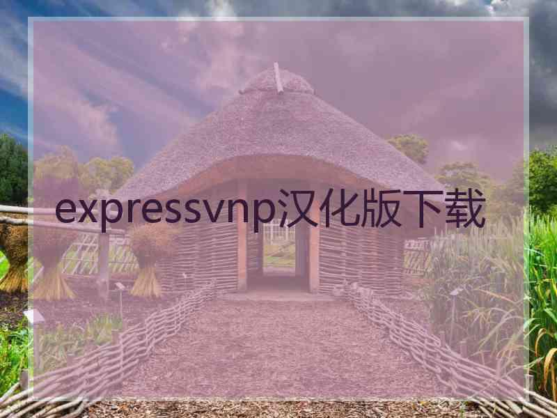 expressvnp汉化版下载