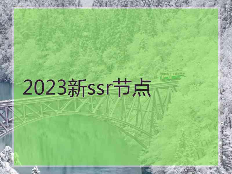 2023新ssr节点