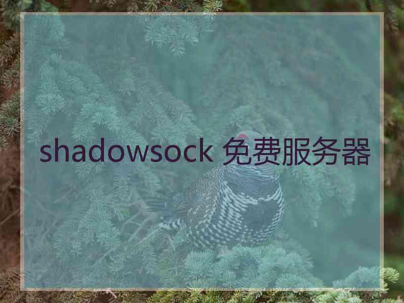 shadowsock 免费服务器