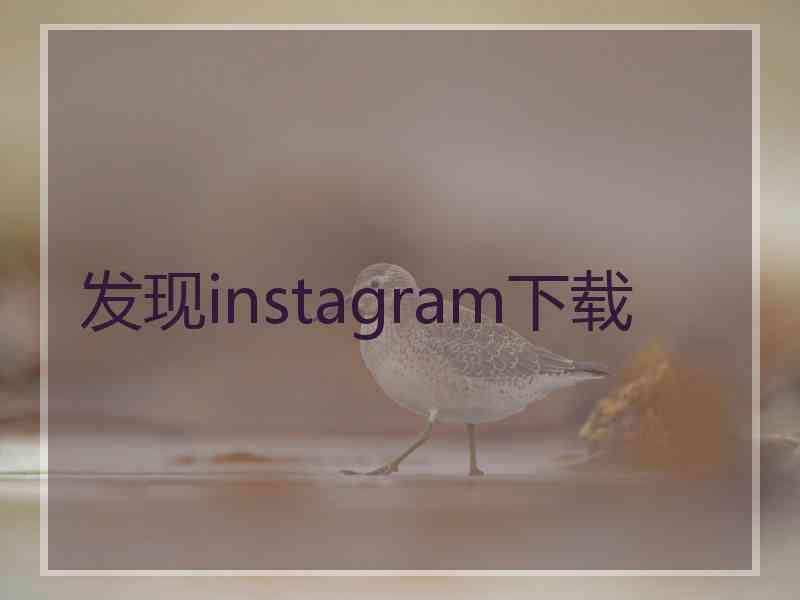 发现instagram下载