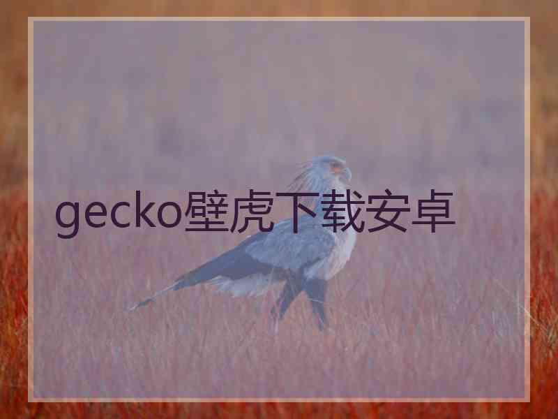 gecko壁虎下载安卓