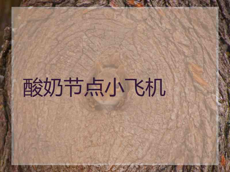 酸奶节点小飞机