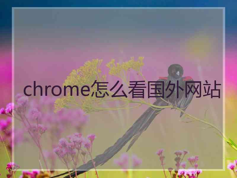 chrome怎么看国外网站