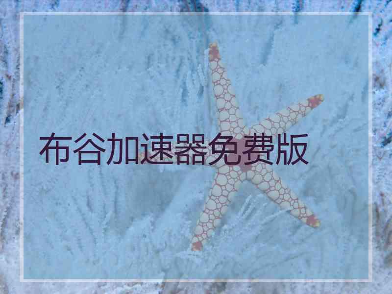 布谷加速器免费版