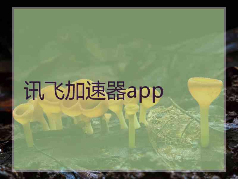 讯飞加速器app