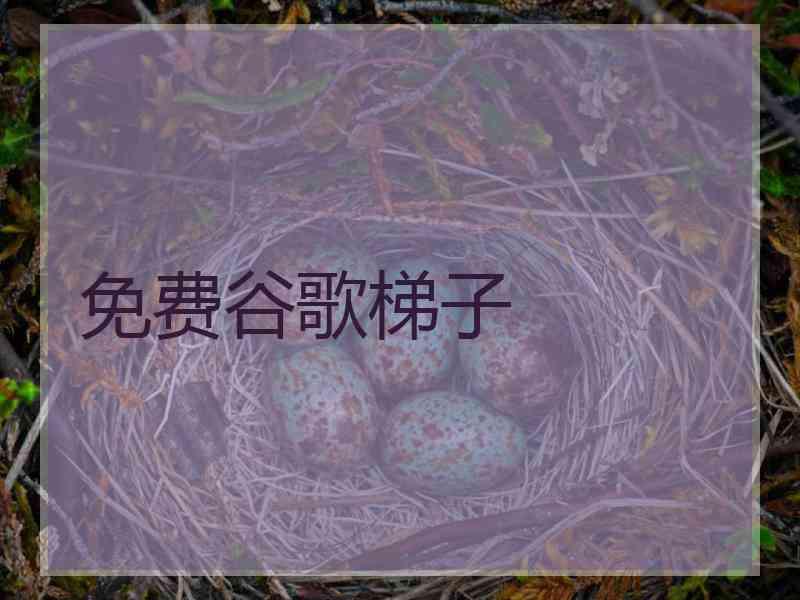 免费谷歌梯子