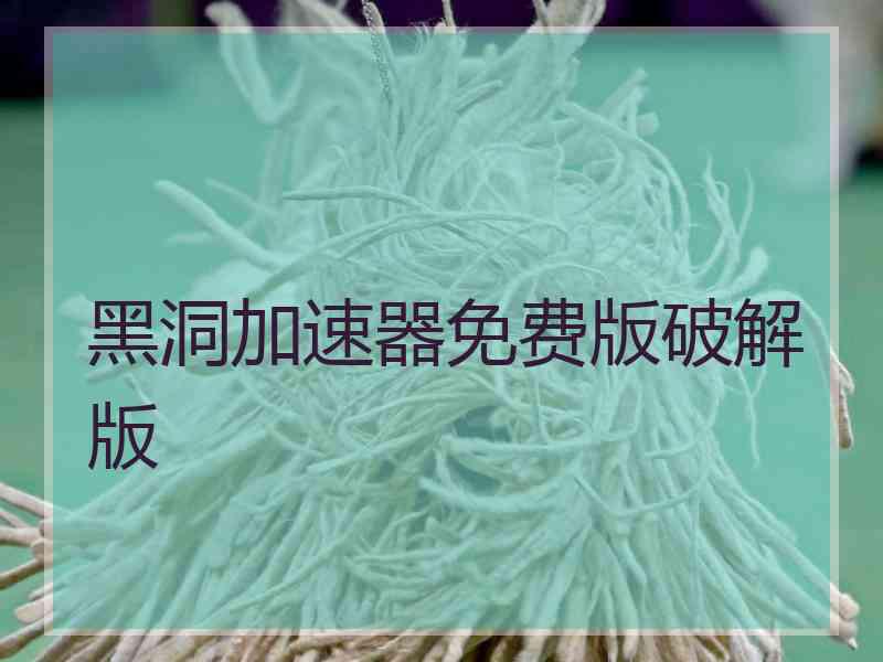 黑洞加速器免费版破解版