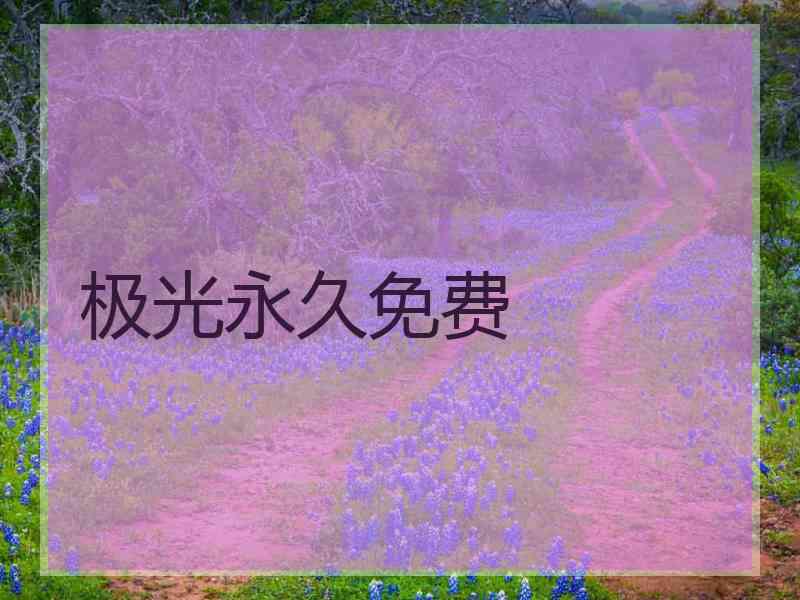 极光永久免费