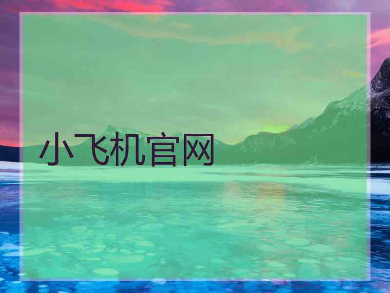 小飞机官网
