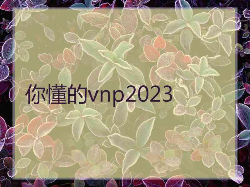 你懂的vnp2023