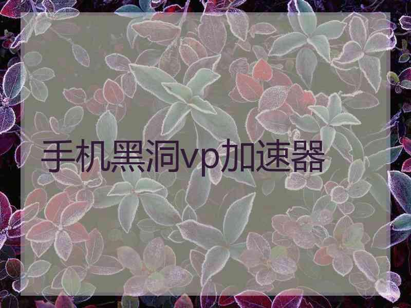 手机黑洞vp加速器