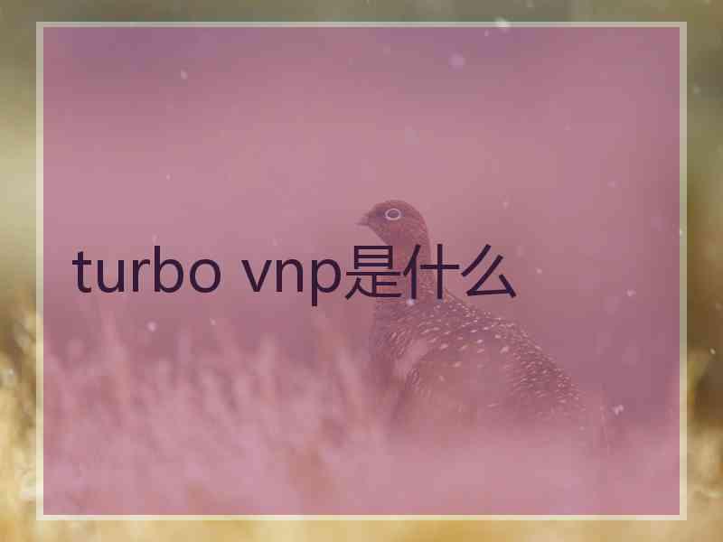 turbo vnp是什么