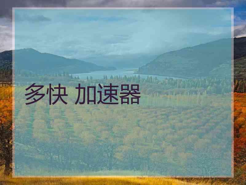 多快 加速器