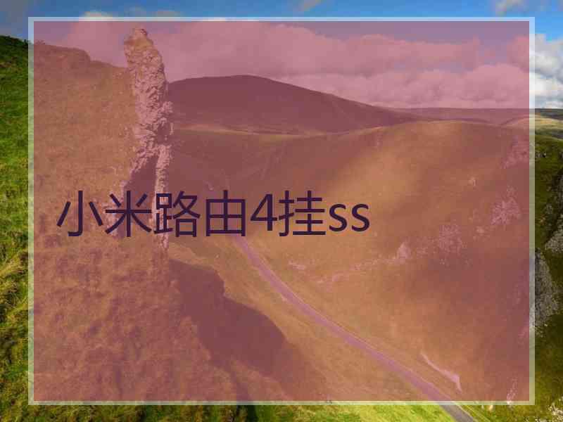 小米路由4挂ss