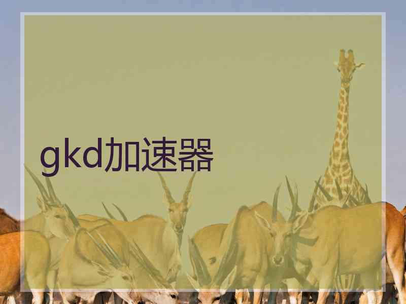 gkd加速器