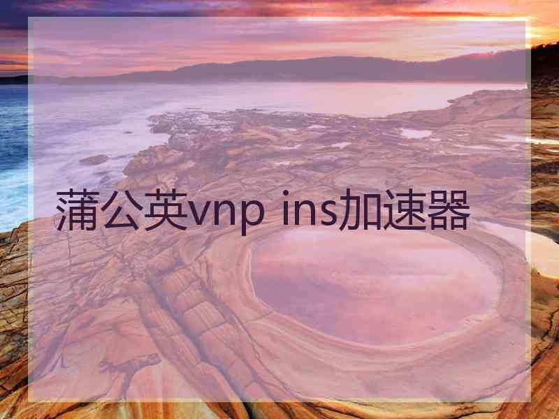 蒲公英vnp ins加速器
