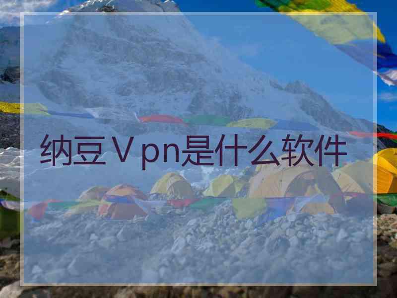 纳豆Ⅴpn是什么软件
