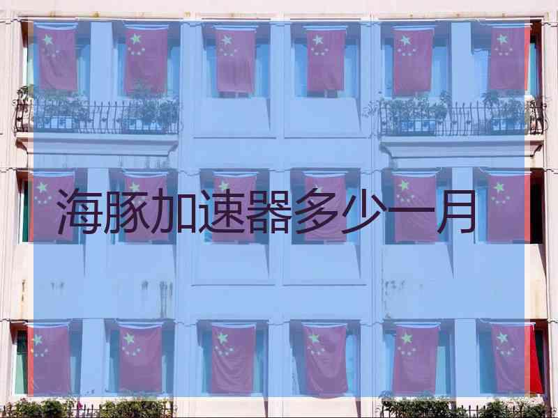 海豚加速器多少一月