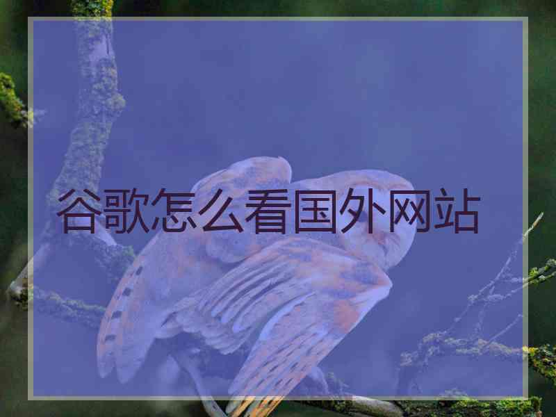 谷歌怎么看国外网站