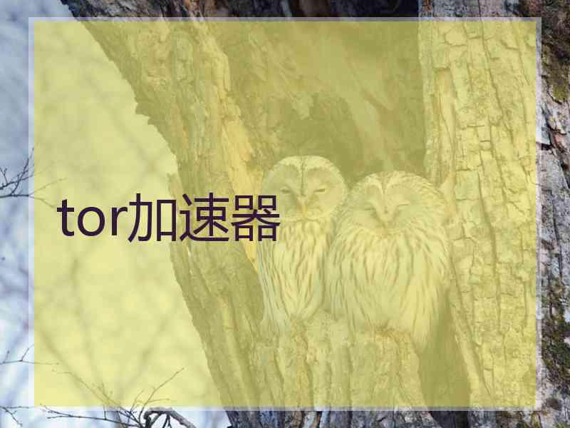 tor加速器