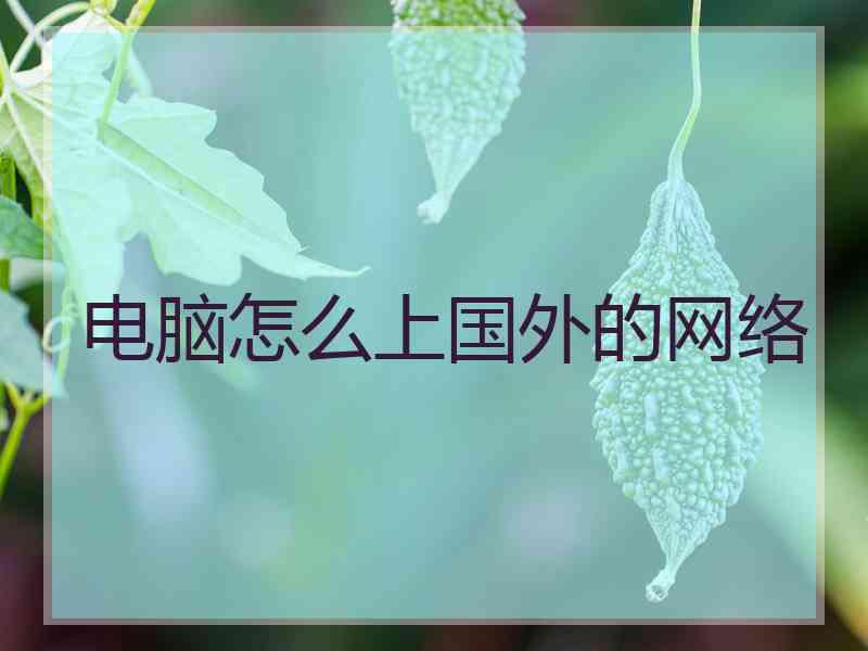 电脑怎么上国外的网络