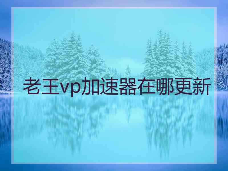 老王vp加速器在哪更新