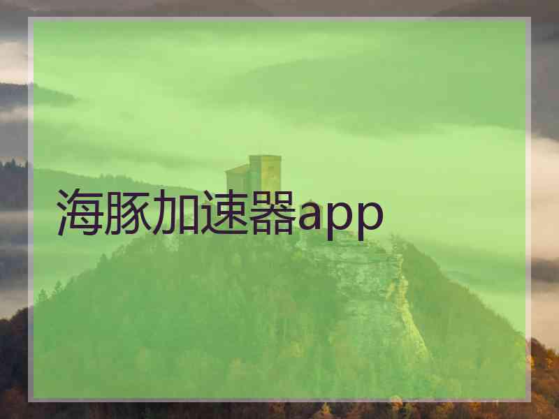 海豚加速器app