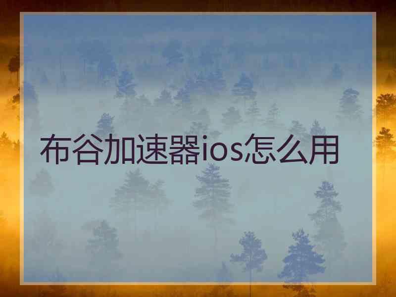 布谷加速器ios怎么用