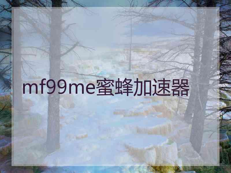 mf99me蜜蜂加速器