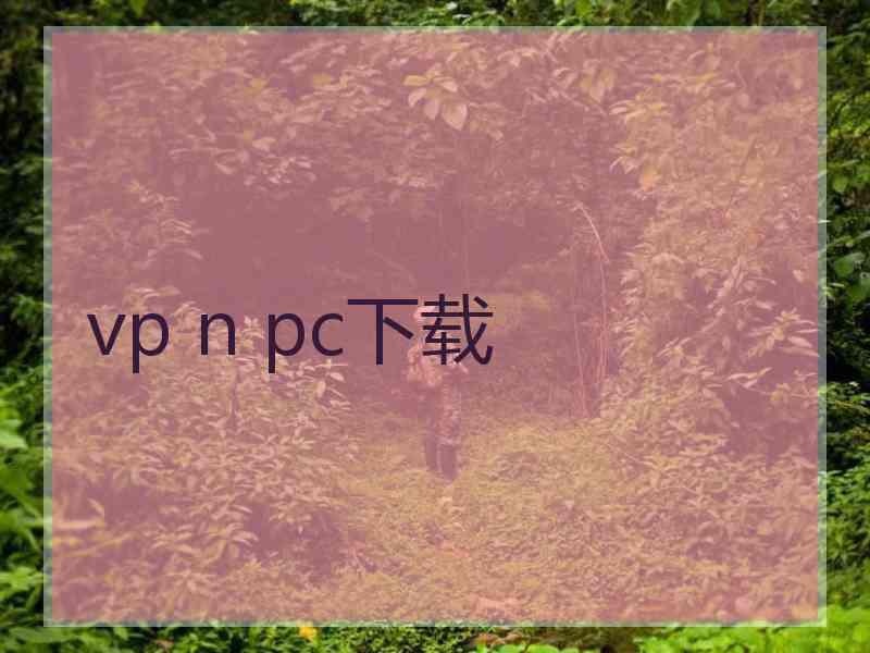 vp n pc下载