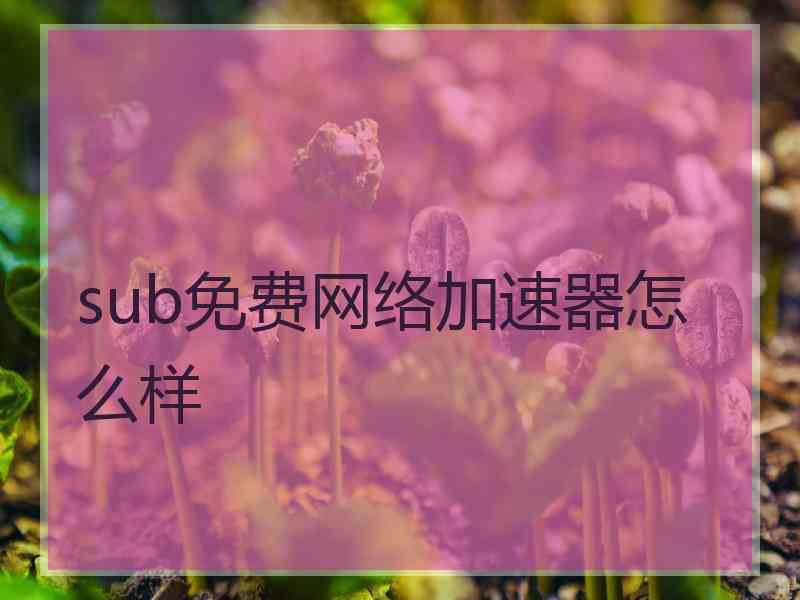 sub免费网络加速器怎么样
