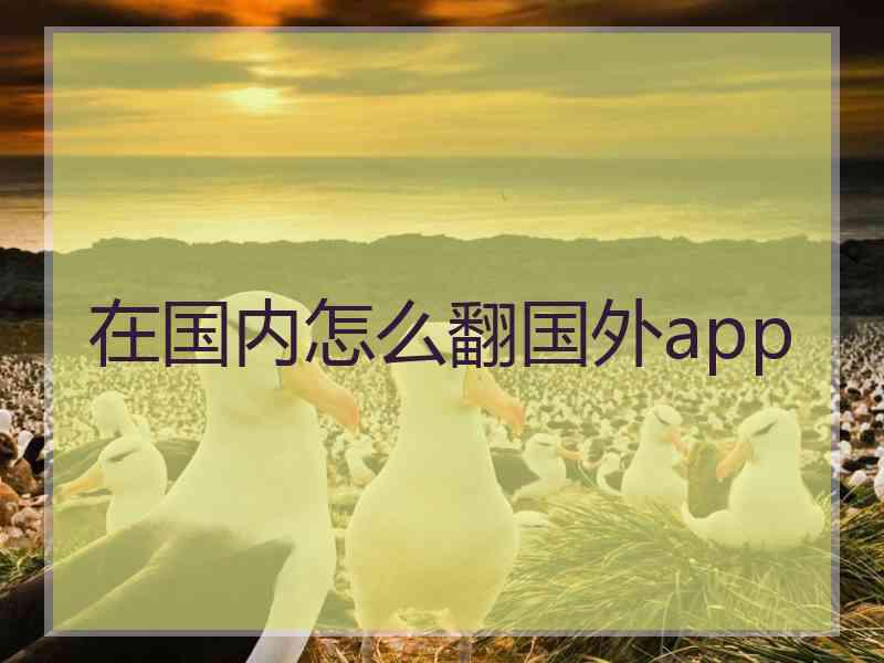 在国内怎么翻国外app