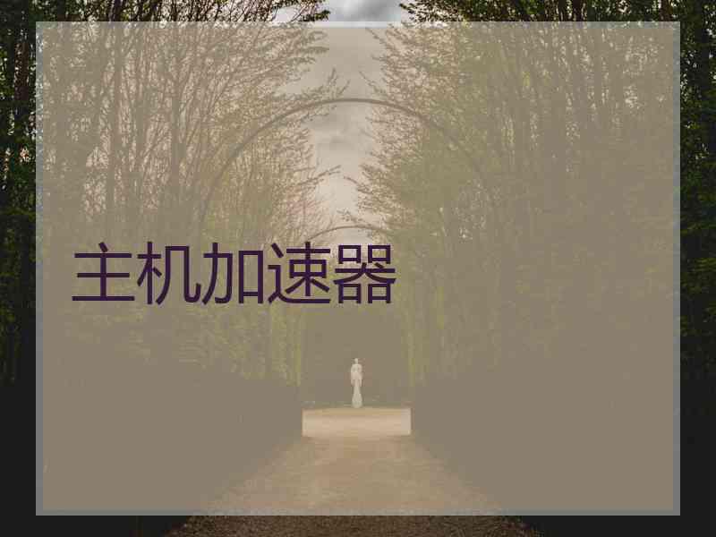 主机加速器