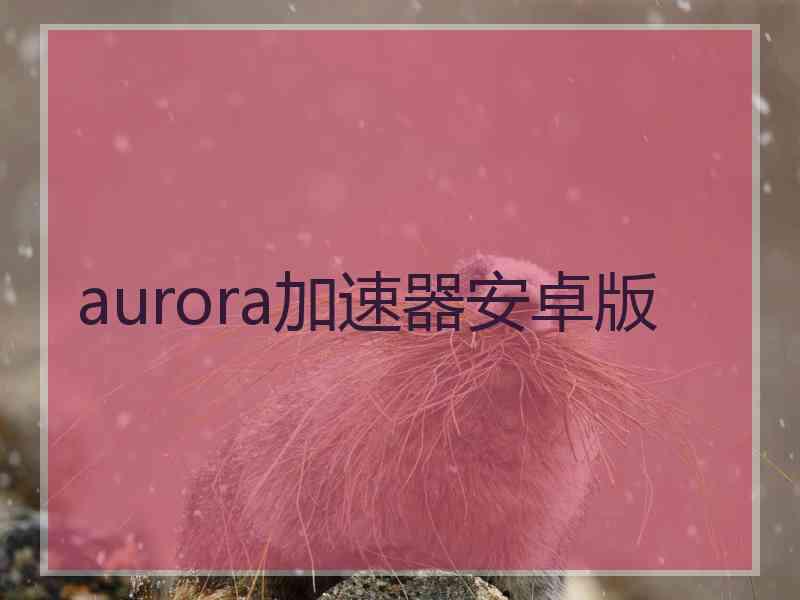 aurora加速器安卓版