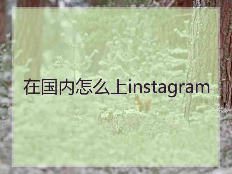 在国内怎么上instagram