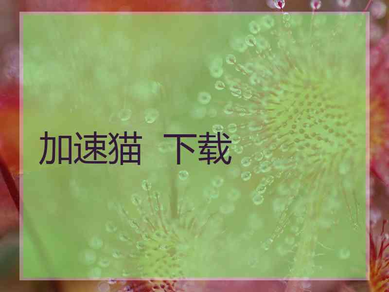 加速猫  下载
