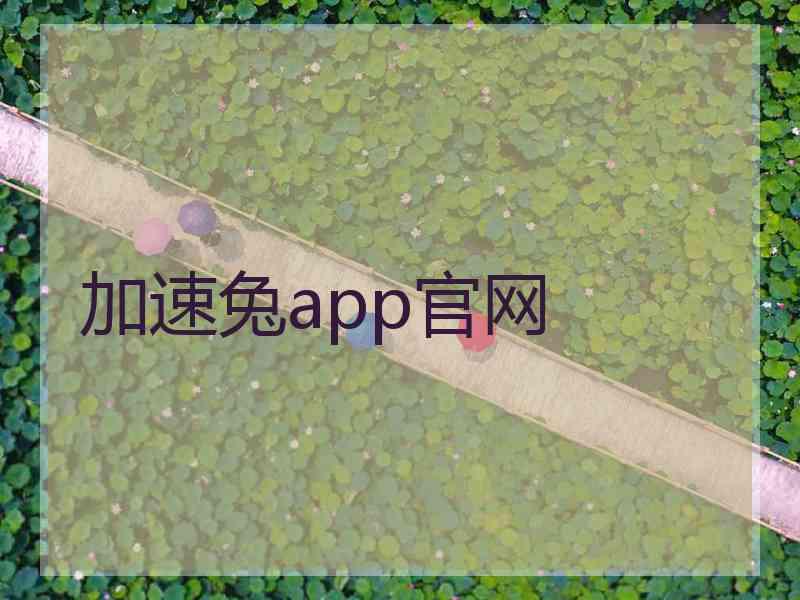 加速兔app官网