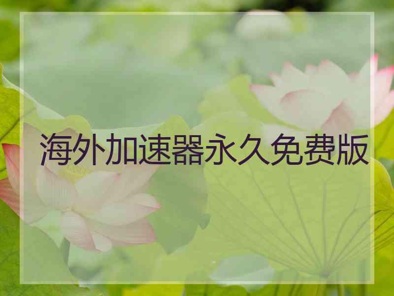 海外加速器永久免费版