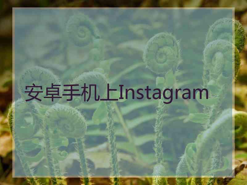 安卓手机上Instagram