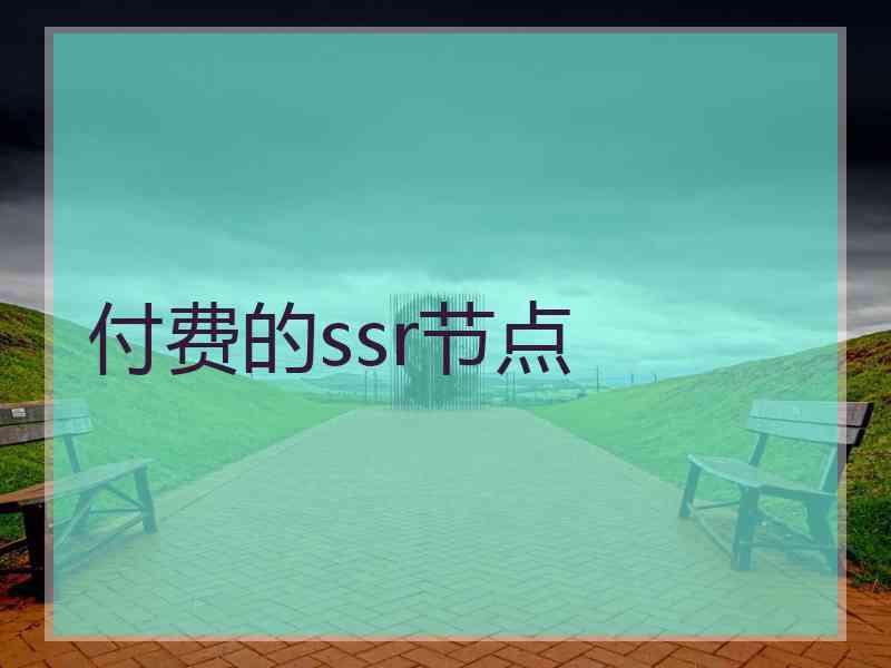 付费的ssr节点
