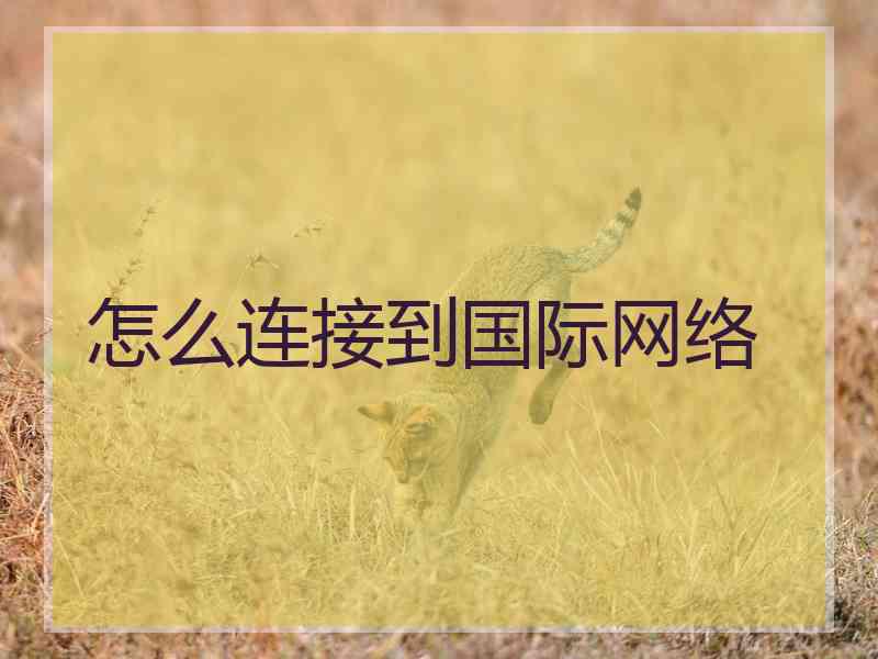 怎么连接到国际网络