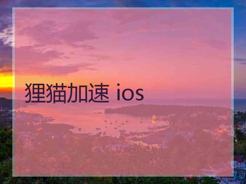 狸猫加速 ios