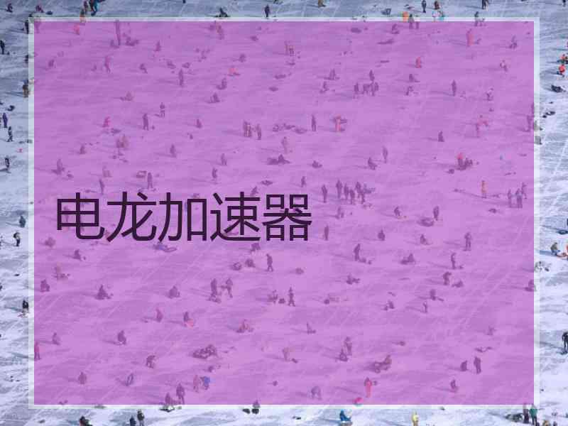 电龙加速器