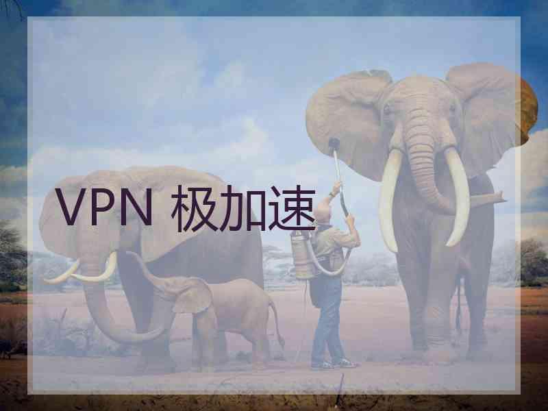 VPN 极加速