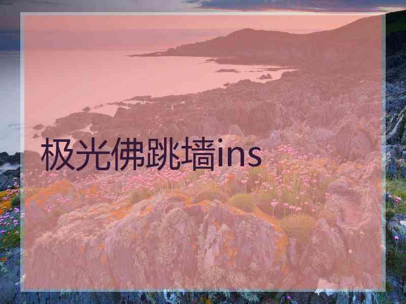 极光佛跳墙ins