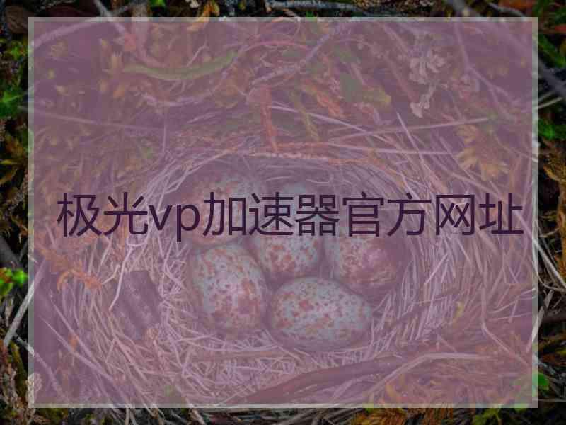 极光vp加速器官方网址