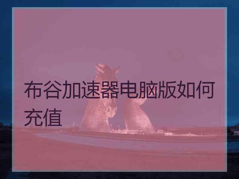 布谷加速器电脑版如何充值