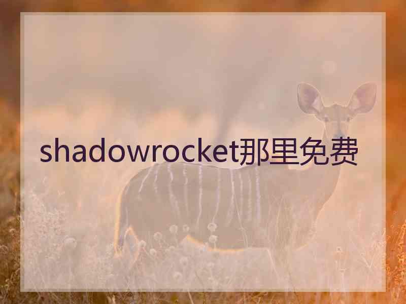 shadowrocket那里免费